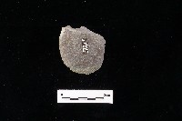 石片器藏品圖，第2張