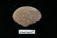 石片器藏品圖，第1張