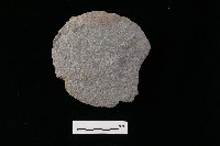 石片器藏品圖，第1張