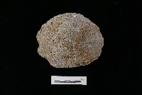 石片器藏品圖，第1張