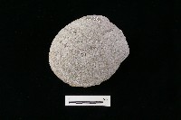 石片器藏品圖，第1張