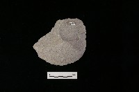 石片器藏品圖，第1張