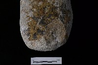 石鎚藏品圖，第5張