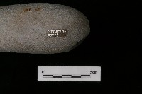 石鎚藏品圖，第4張