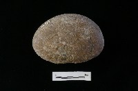 石鎚藏品圖，第1張