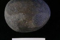 石鎚藏品圖，第4張