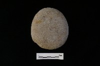 石鎚藏品圖，第1張