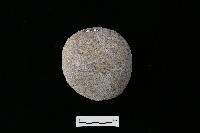 石鎚藏品圖，第2張