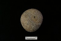 石鎚藏品圖，第2張