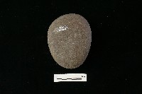 石鎚藏品圖，第1張