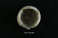 陶罐藏品圖，第1張