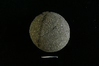 陶罐藏品圖，第3張