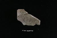 陶罐藏品圖，第1張