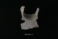 陶罐藏品圖，第2張