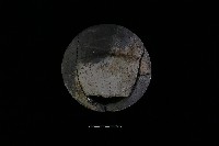 陶罐藏品圖，第8張