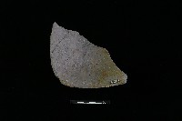 陶罐藏品圖，第1張