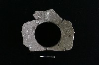 陶罐藏品圖，第3張