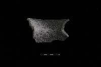 陶罐藏品圖，第3張