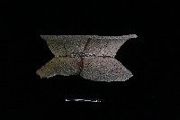 陶罐藏品圖，第2張