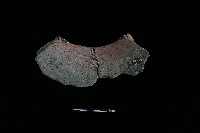 陶罐藏品圖，第4張