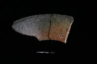 陶罐藏品圖，第2張