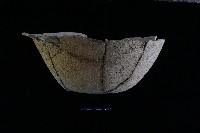 陶盆藏品圖，第1張