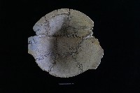 陶盆藏品圖，第2張