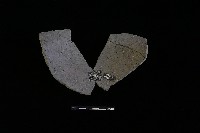 陶盆藏品圖，第2張