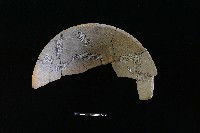 陶缽藏品圖，第1張