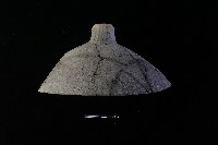 陶蓋鈕藏品圖，第2張