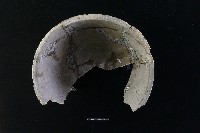 陶缽藏品圖，第3張