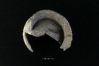 陶缽藏品圖，第4張