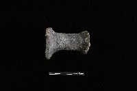 獸足藏品圖，第2張