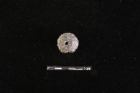 紡輪藏品圖，第2張