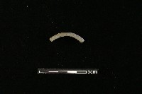 陶環藏品圖，第2張