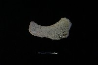 陶罐藏品圖，第1張