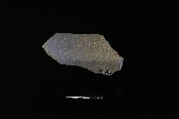 陶罐藏品圖，第2張