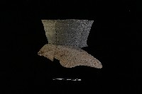 陶罐藏品圖，第2張