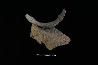 陶罐藏品圖，第1張