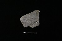 陶罐藏品圖，第2張