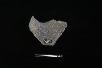 陶罐藏品圖，第1張