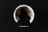 陶缽藏品圖，第3張