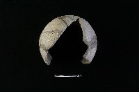 陶缽藏品圖，第1張