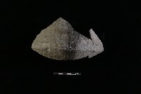 陶罐藏品圖，第1張