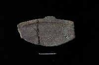 陶盆藏品圖，第2張