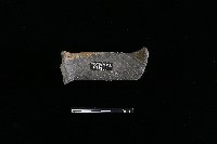 獸足藏品圖，第2張