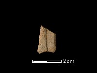 矛鏃形器藏品圖，第2張