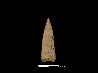 矛鏃形器藏品圖，第2張