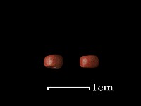 琉璃珠藏品圖，第1張
