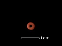 琉璃珠藏品圖，第2張